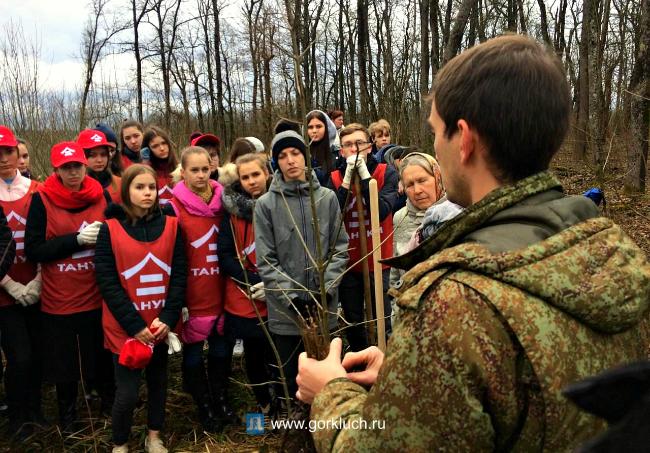 2000 саженцев дуба высадили волонтеры города и края под Горячим Ключом