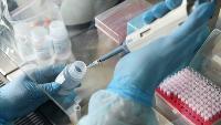На Кубани за последние сутки подтверждено 20 случаев коронавируса